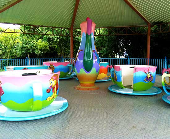 Amusement park coffee cup rides