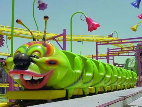 The Cost Of Kids Roller Coaster Rides